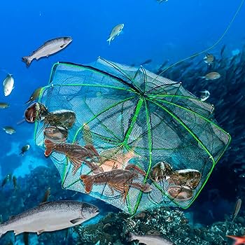 রাউন্ড জাল 2