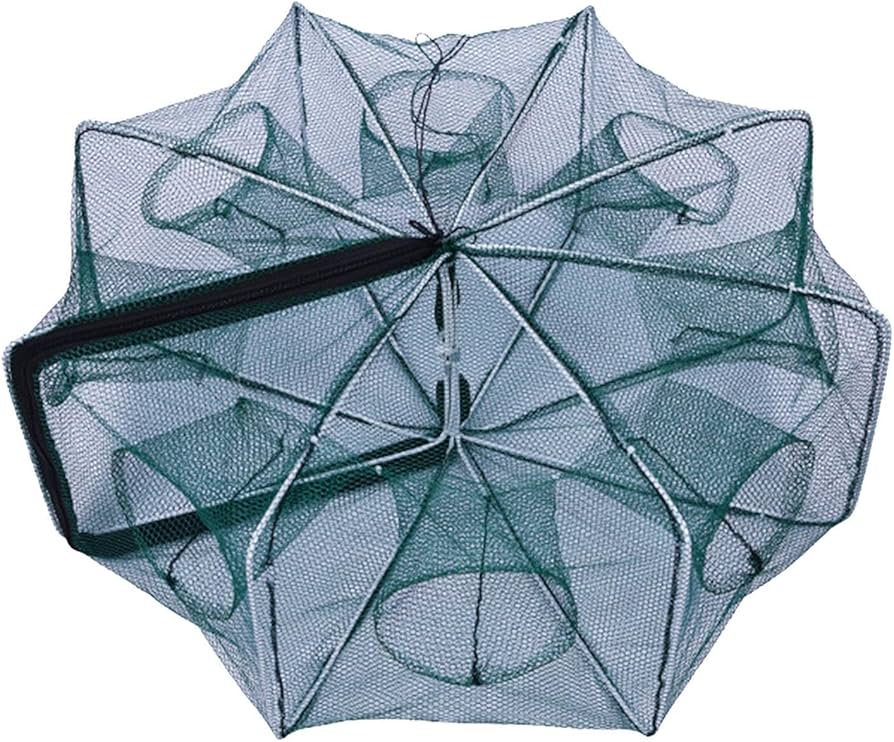 রাউন্ড জাল